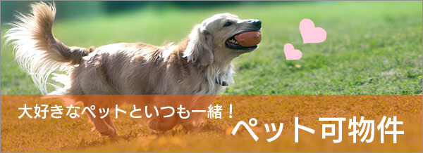 ペット可物件特集